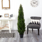 5' Mini Cedar Pine Tree (Indoor/Outdoor)