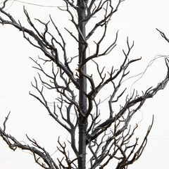 5' Pre-Lit Artificial Halloween Black Spooky Twig Tree with 200 Orange & Purple Copper Wire String LED Lights - Ornate Home