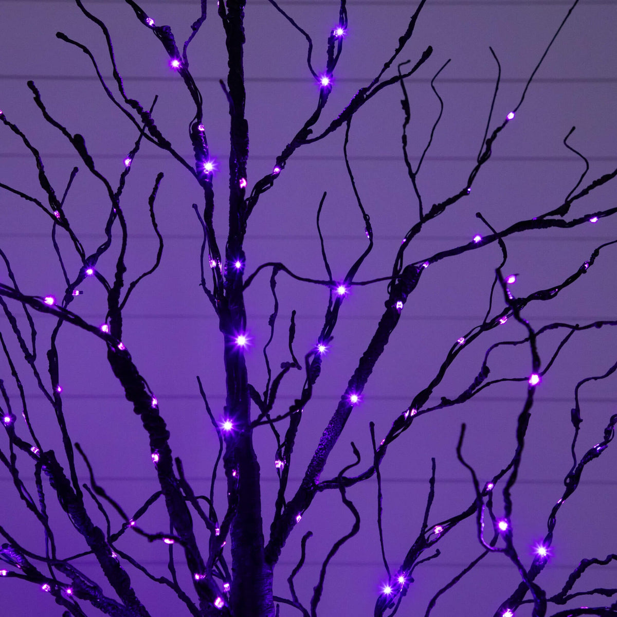 5' Pre-Lit Halloween Black Twig Artificial Tree with 240 Orange & Purple LED Lights