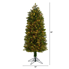 5’ Slim Colorado Mountain Spruce Artificial Christmas Tree with 250 (Multifunction) Lights with Instant Connect - Ornate Home
