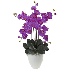 50” Giant Phalaenopsis Orchid Arrangement - Ornate Home