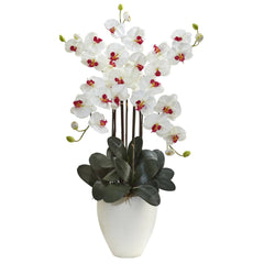 50” Giant Phalaenopsis Orchid Arrangement - Ornate Home