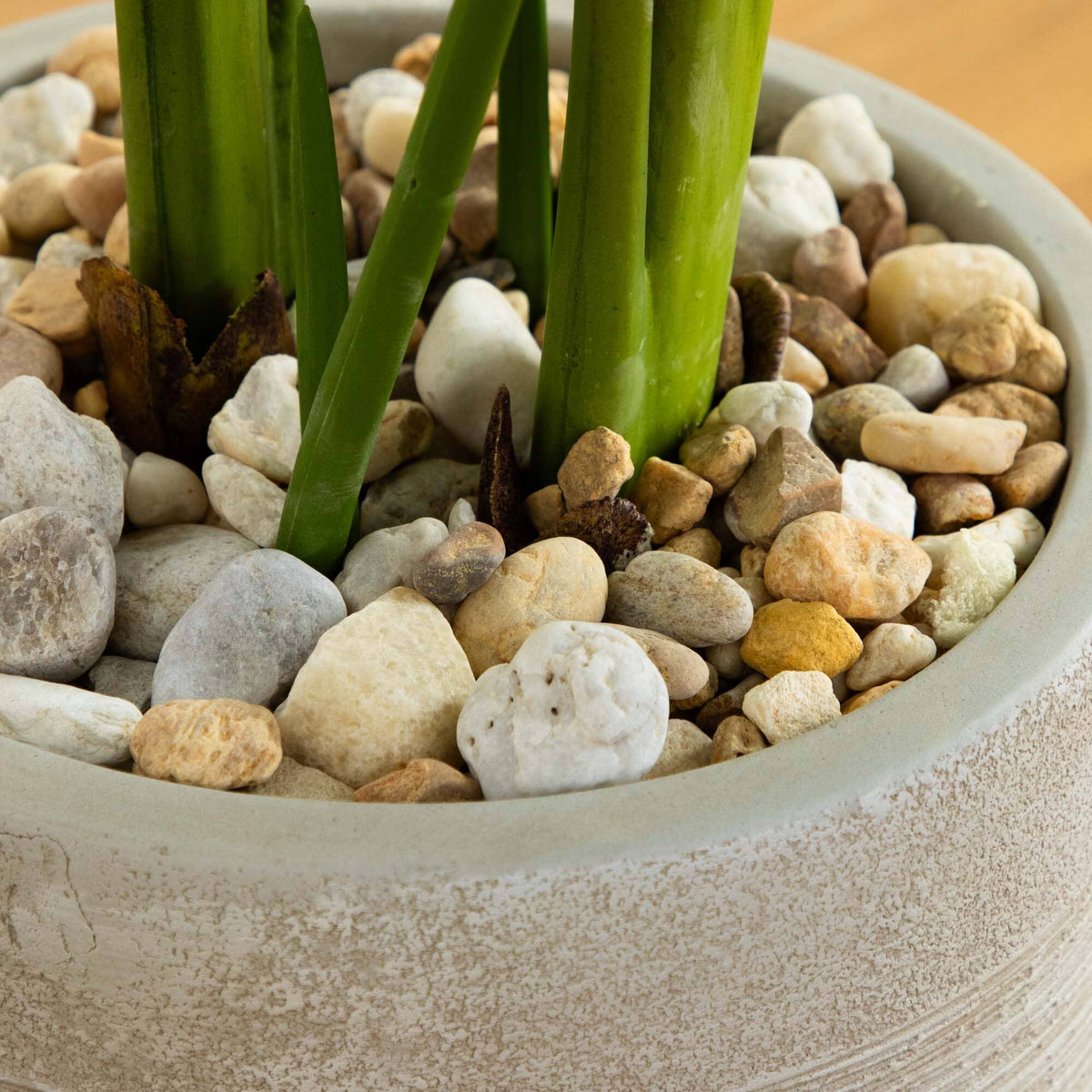 50” Traveler's Palm Artificial Tree in Sand-Colored Planter