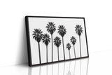 Seven Palms in Perfect Rhythm