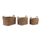 Edom Natural Water Hyacinth Chunky Baskets (Set of 3)