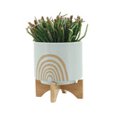 Lovelock Mint Arch Planters with Stand (Set of 2)