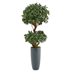 51” Sweet Bay Double Ball Topiary Artificial Tree in Gray Planter - Ornate Home
