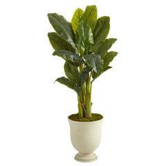 52” Triple Stalk Banana Artificial Tree in Decorative Urn (Real Touch) - Ornate Home