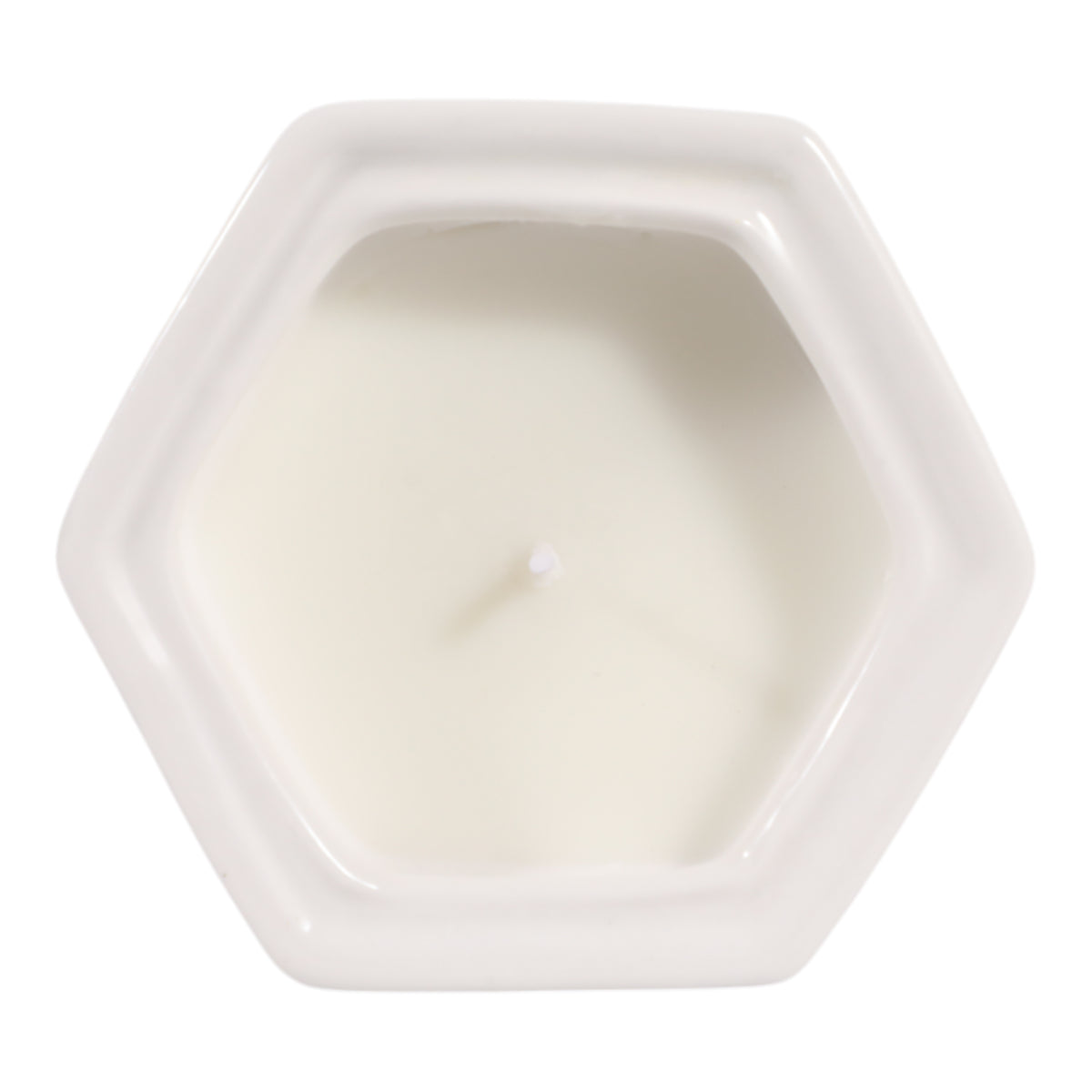 Nickrun Brown/White Sage and Eucalyptus Chinoiserie Candle