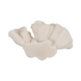 Brainard Ivory Coral Object
