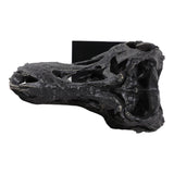 Glasershaw Black Decor