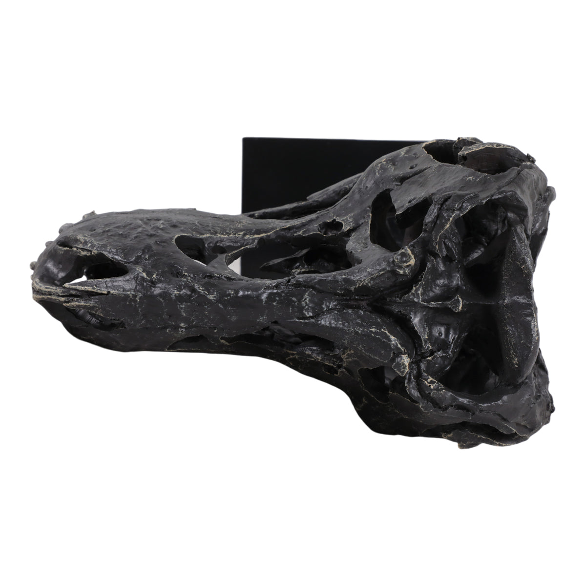 Glasershaw Black Decor
