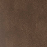 Chasemore Earth Queen Sofa Sleeper and Loveseat
