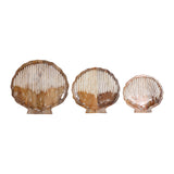 Hiouchi White/Natural Distressed Seashell Trays (Set of 3)