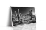 Sentinels of the Sonoran