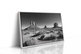 Monuments to Forever