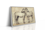 Equine Companionship Study