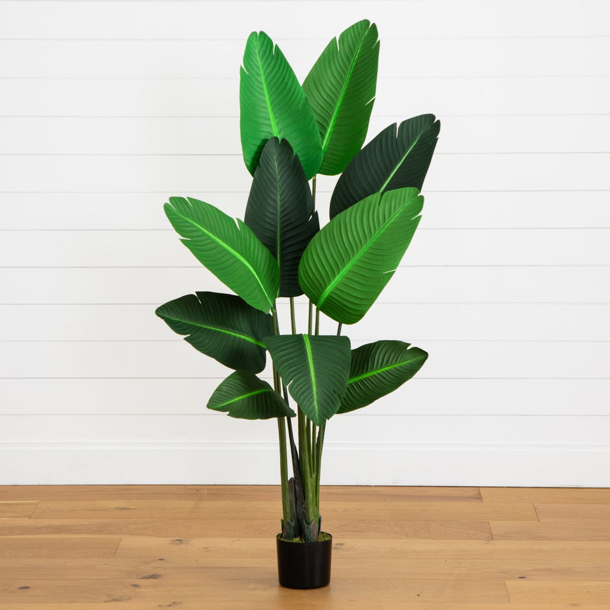 58” Traveler's Palm Artificial Tree