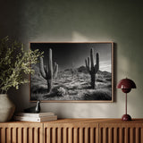 Sentinels of the Sonoran
