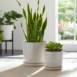 Lintonmore White Planters (Set of 2)