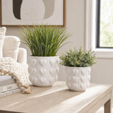 Draperoak Ivory/White Small Planters (Set of 2)