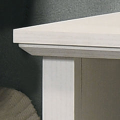 Elara White 22"W 2-Drawer Nightstand
