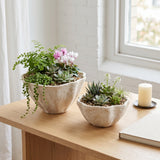 Tannervale White/Ivory Planters (Set of 2)