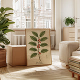The Holly Botanical Art Print