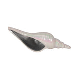 Hayesham Ivory/Tan/Silver Decor