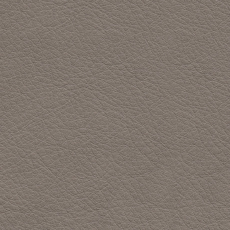 5Z-Relaxation Coin Power Reclining Sofa - Ornate Home