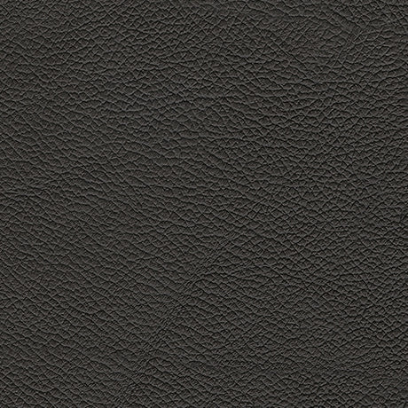 5Z-Relaxation Onyx Power Reclining Sofa - Ornate Home