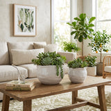 Draperstone White Planters (Set of 2)