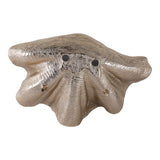 Majors Multicolor Metal Seashell Bowl