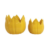Gentrywind Yellow Planters (Set of 2)