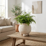 Wrightwood Ivory Textured Rounded Planter on Ball Feet