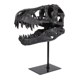 Glasershaw Black Decor