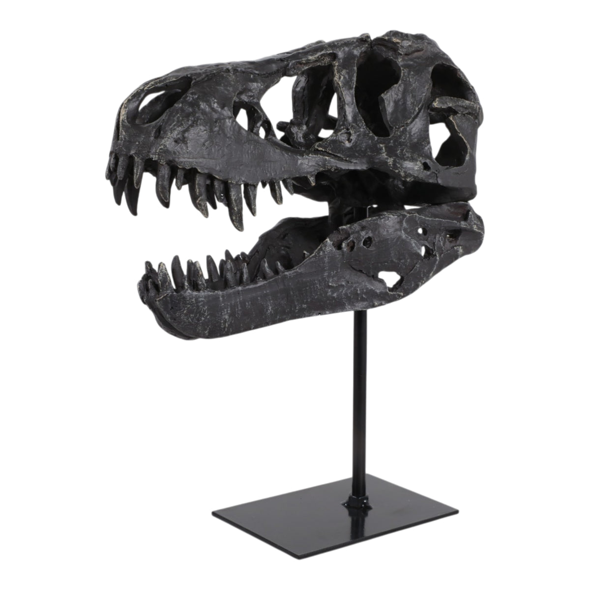 Glasershaw Black Decor