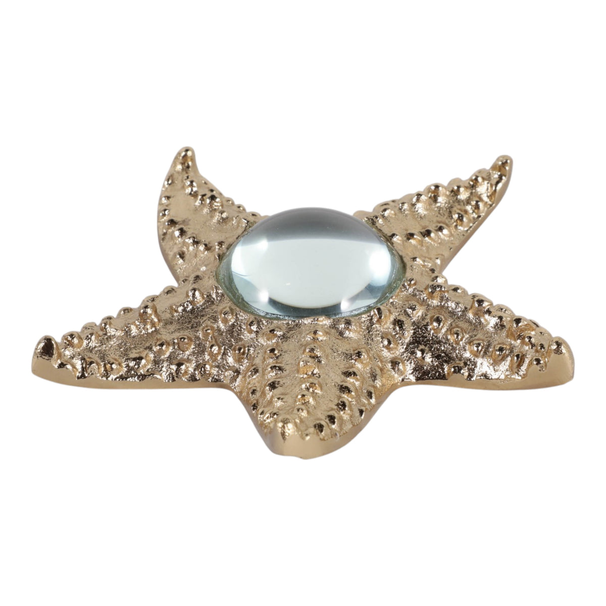 Edgarview Gold/Clear Decor
