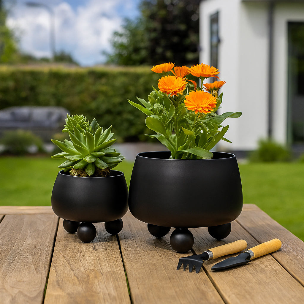 Albafield Black Planters (Set of 2)