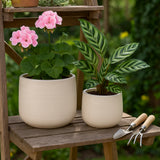 Peytonlake White Planters (Set of 2)