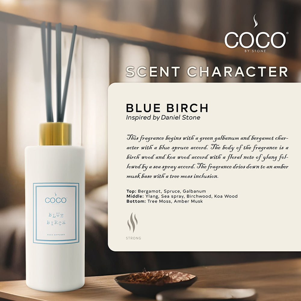 5oz Blue Birch Reed Diffuser - Ornate Home