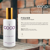 5oz Figuier All-In-One Spray - Ornate Home
