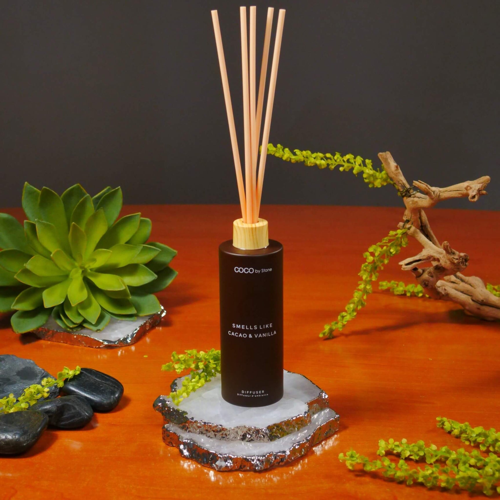 5oz Smells Like Cacao & Vanilla Reed Diffuser - Ornate Home