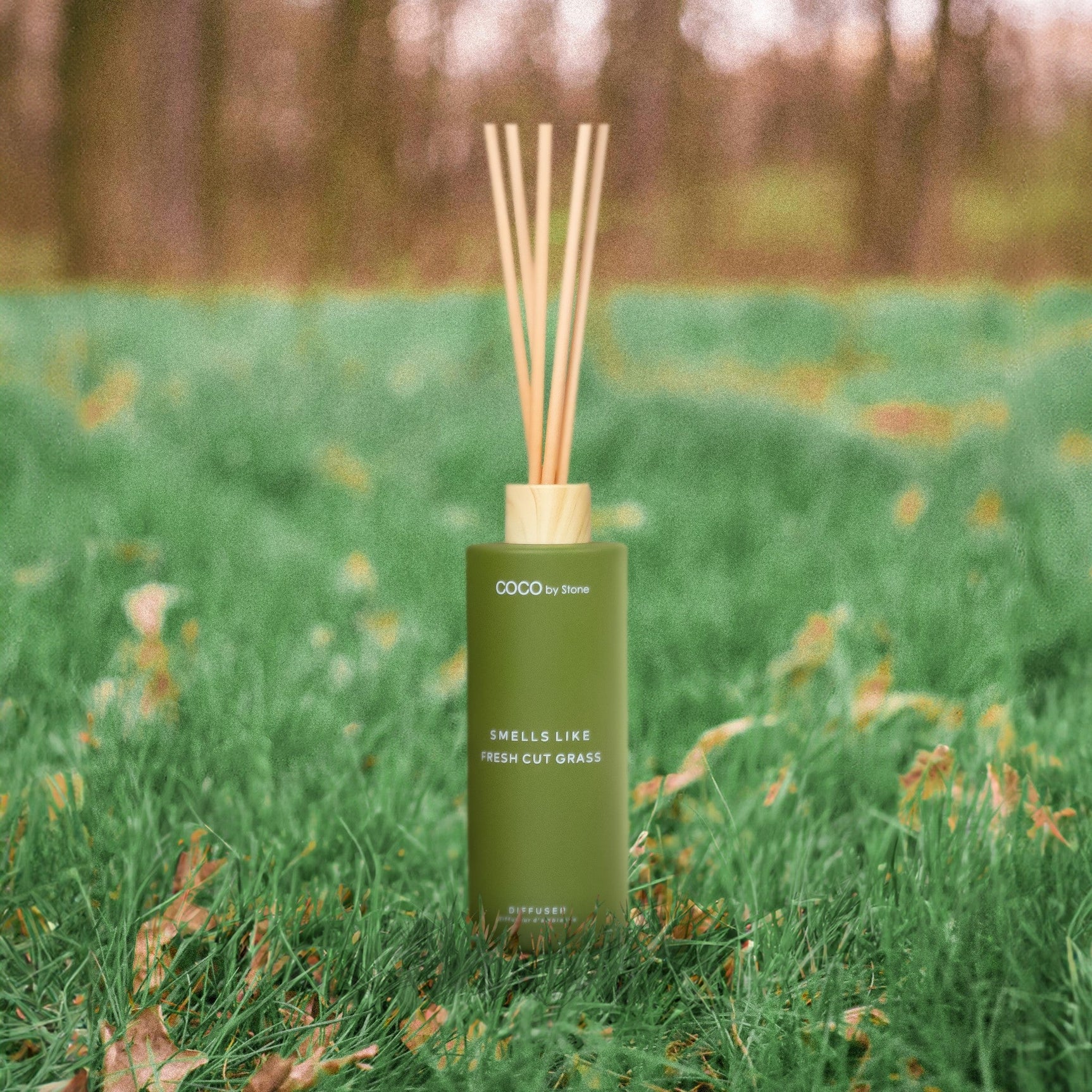5oz Smells Like Fresh Cut Grass Reed Diffuser - Ornate Home