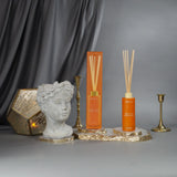 5oz Smells Like Pumpkin Spice Reed Diffuser - Ornate Home