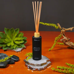 5oz Smells Like Talc Leather & Tobacco Reed Diffuser - Ornate Home