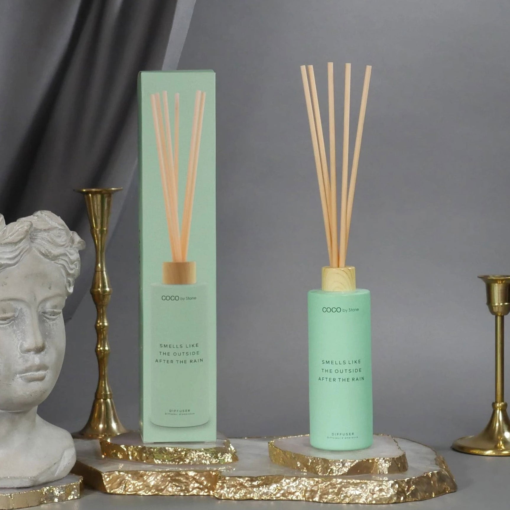 5oz Smells Like The Outside After The Rain Reed Diffuser - Ornate Home
