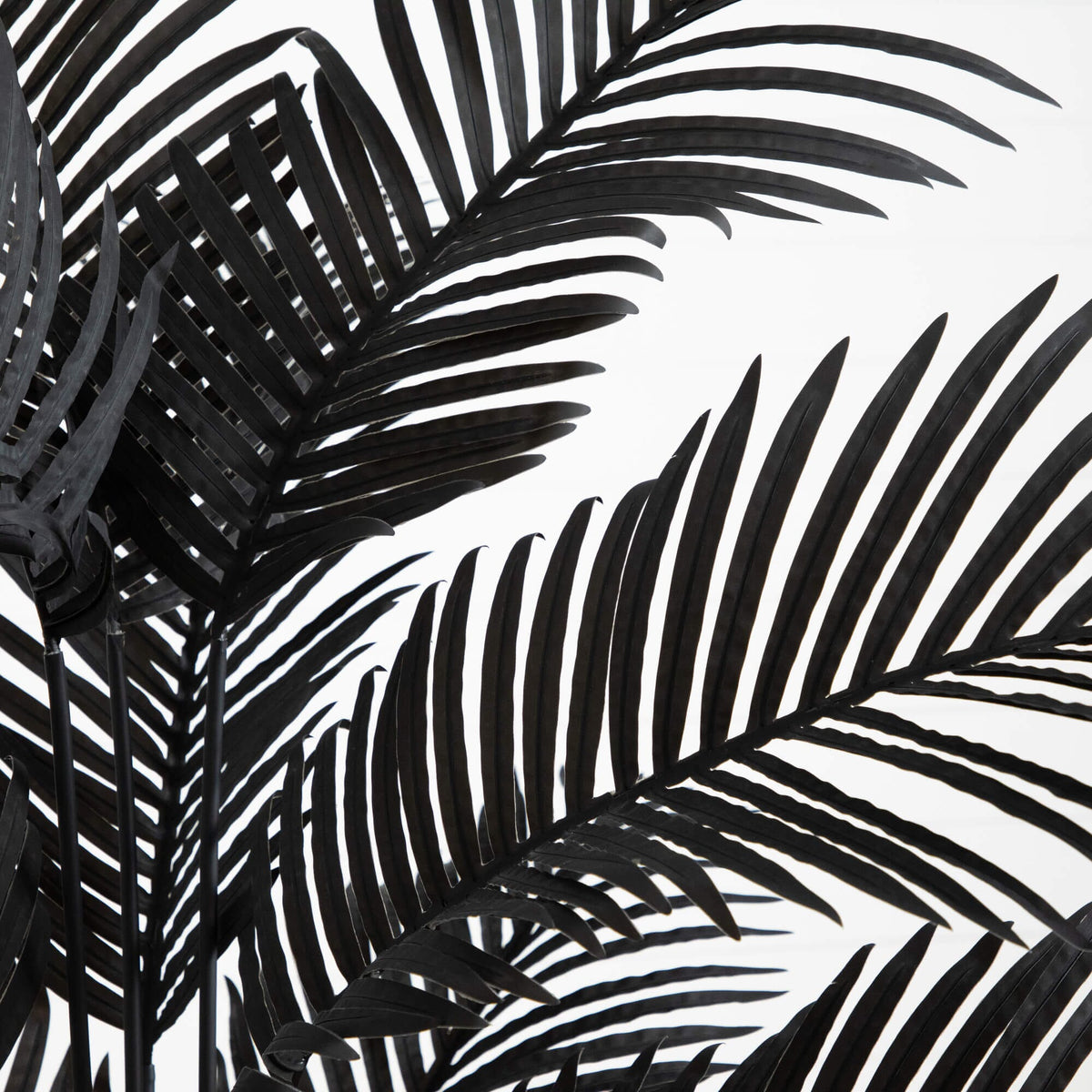 6' Artificial Halloween Black Paradise Palm Tree