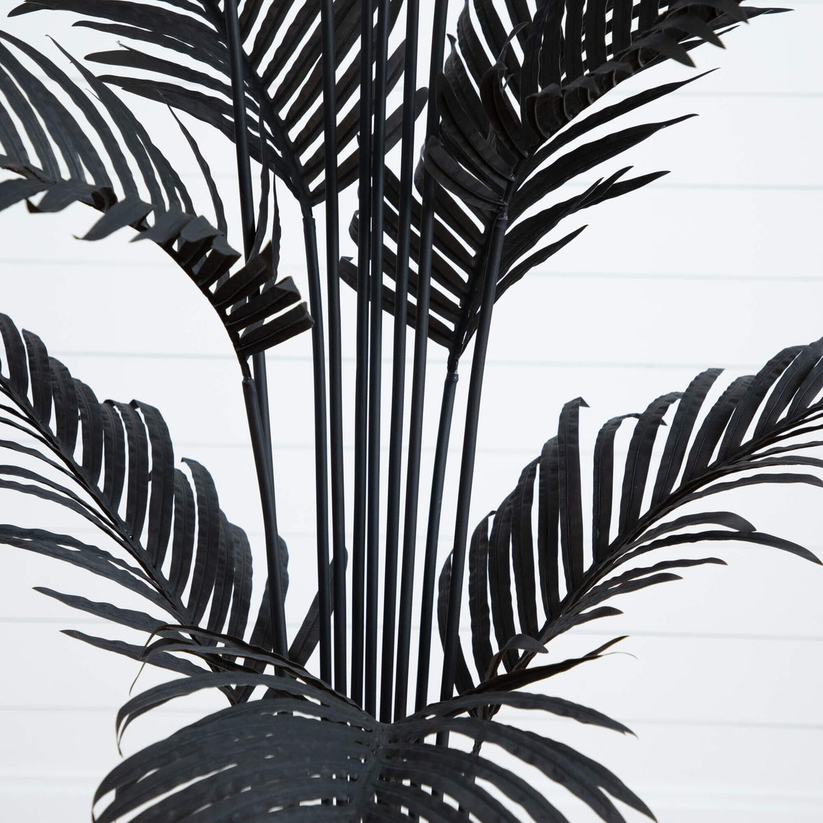 6' Artificial Halloween Black Paradise Palm Tree