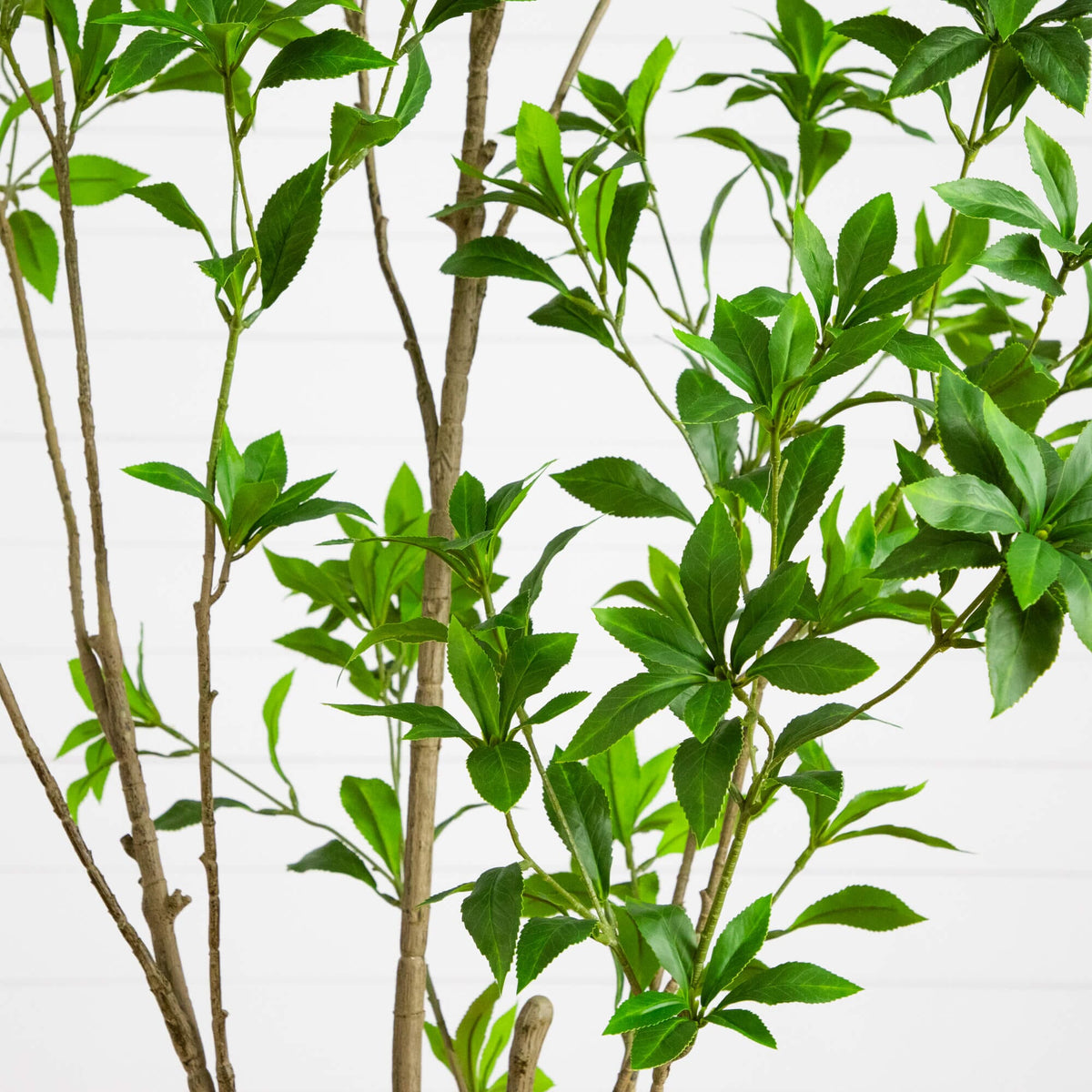 6' Artificial Minimalist Japanese Pieris Tree